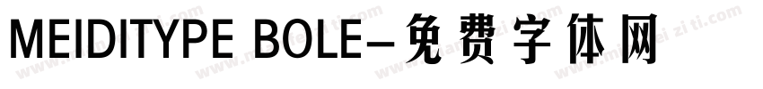 MEIDITYPE BOLE字体转换